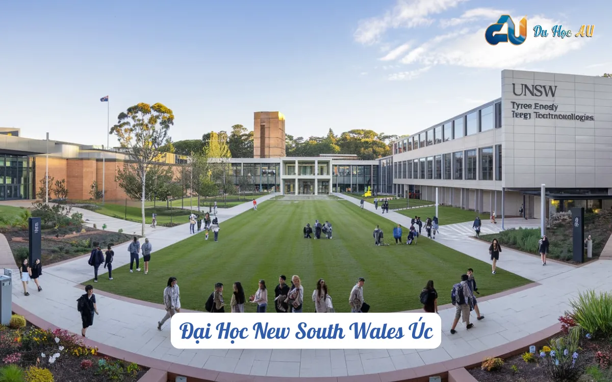 New South Wales Úc: Trường Đại Học Hàng Đầu Xứ Chuột Túi